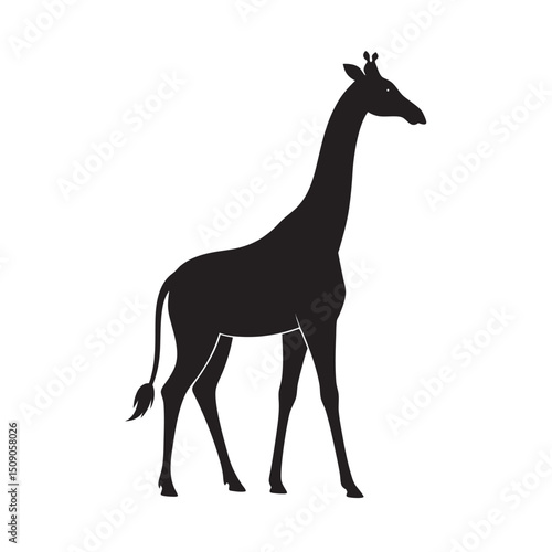 Giraffe Walking Savanna Silhouette