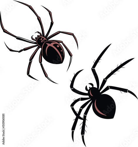 set of spider