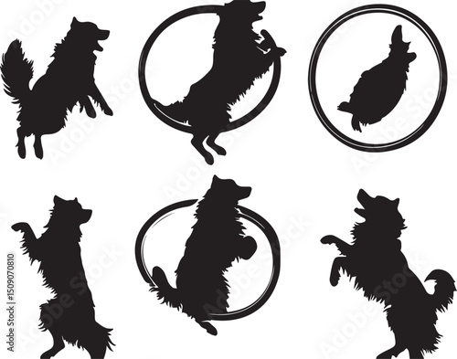 Border Collie Silhouette Vector: Dog Agility Clip Art, Jumping Through Hoop, Pet Graphics