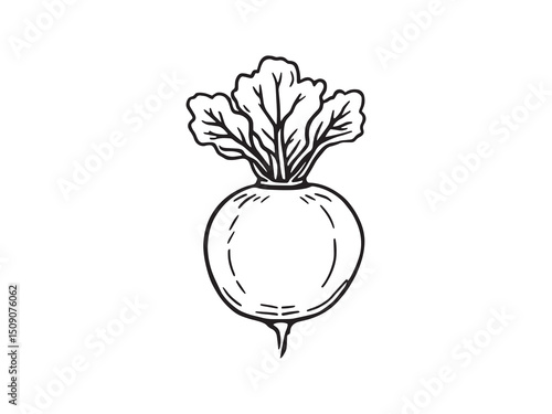 Kohlrabi Simple Line Sketch