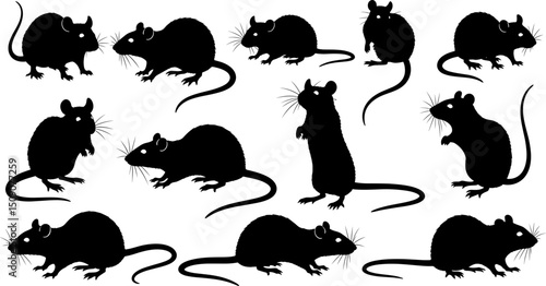 Silhouette various poses of rodents scattered across a plain view showcasing diverse rodent positions on transparent background
