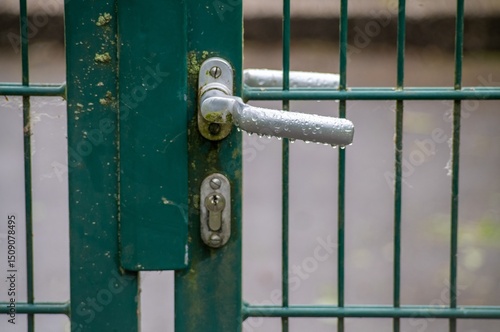 Wet metal door handle on green gate after rain