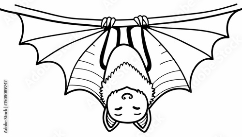 bat,hanging upside down,detailed