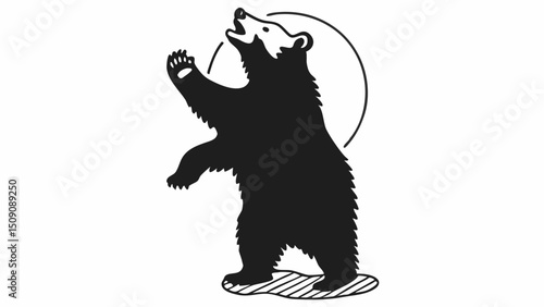 bear silhouette, wildlife, animal, dark