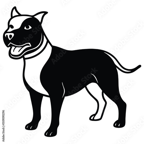 angry bcharging pit bull dog