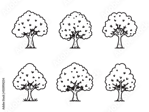 Sycamore Tree Minimalist Line Art Illustration