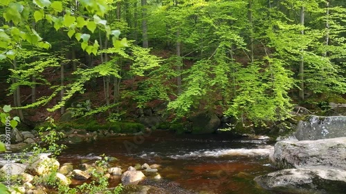 river Kamienna in Karkonosze National Park. Szklarska Poreba, Poland. natural sound