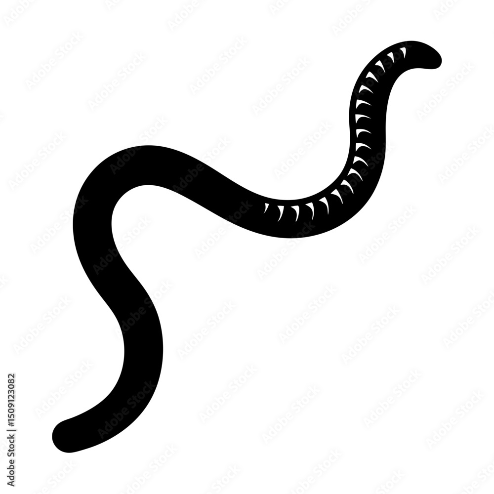 Fototapeta premium A single black silhouette of an earthworm on a white background