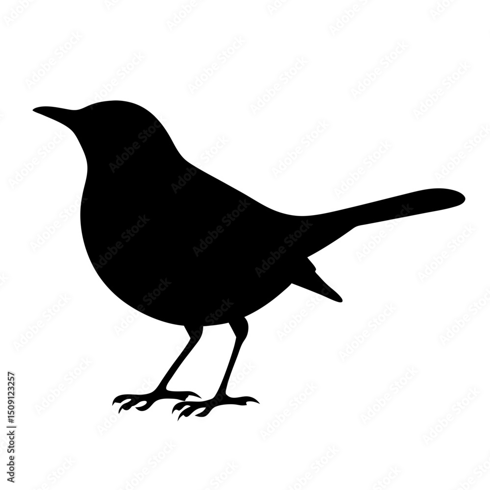 Obraz premium Silhouette of a small bird with detailed feet standing sideways profile