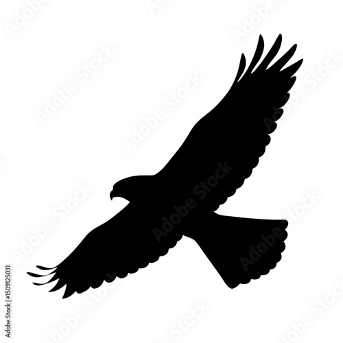 Silhouette of a hawk in flight with majestic wings spread wide