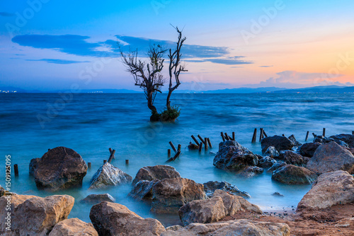 Tree in the lake with lakeside view by Dianchi Pond in Kunming, Yunnan Province