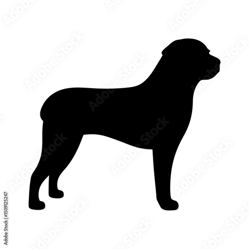 Silhouette of a Rottweiler dog standing on a white background illustration
