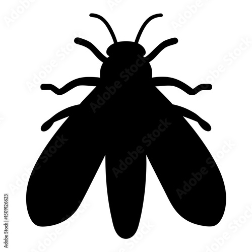 Silhouette of a common housefly, a dipterous insect in dark black