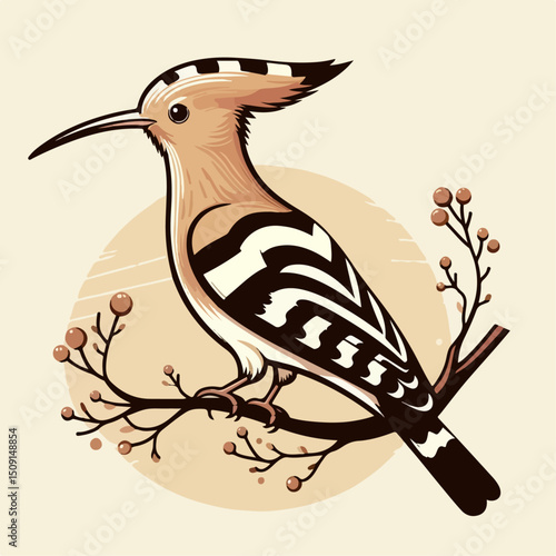 eurasian hoopoe bird vector illustration