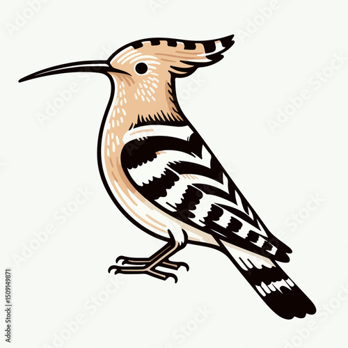 eurasian hoopoe bird vector illustration
