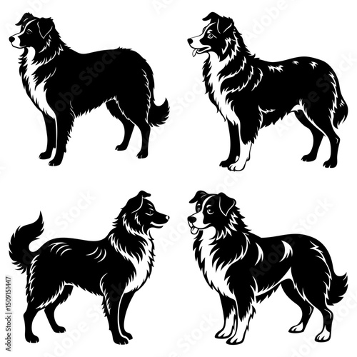 Australian Shepherd Silhouette vector illustration