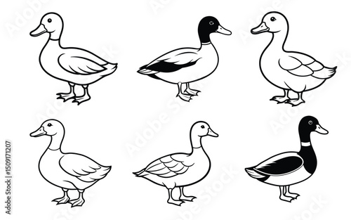 Rubber Duck Icon Fun Children’s Toy Vector Design.