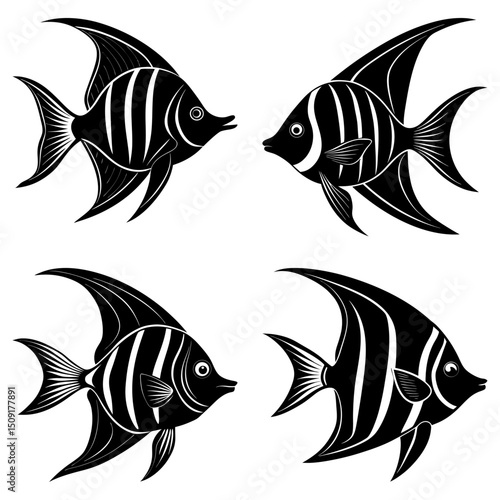 Angelfish Silhouette vector illustration