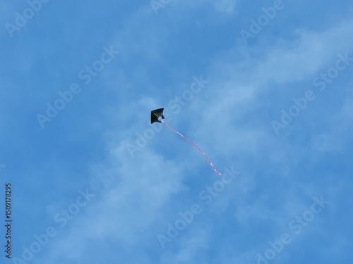 A kite flies high in the bright blue sky, protecting its long red tail. The photo shows the atmosphere of a summer day and the joy of outdoor activities.