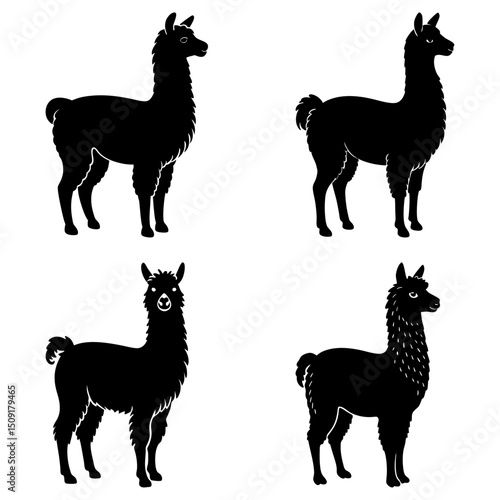 Alpaca Silhouette vector illustration