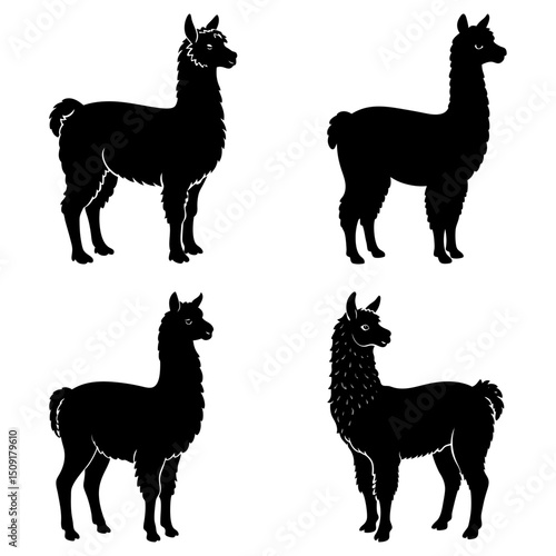 Alpaca Silhouette vector illustration