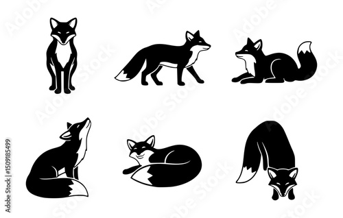 Set of six fox in various pose, black and white color vector illustration