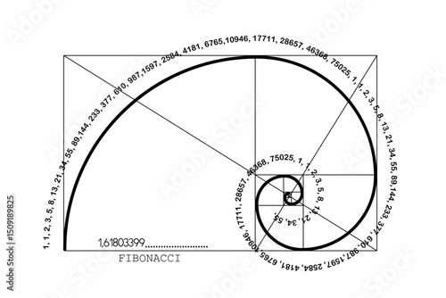 Fibonacci Sequence Spiral. Golden ratio. Geometric shapes Circles in golden proportion. Futuristic minimalist fashion design. Logo. Vector icon isolate on white background
