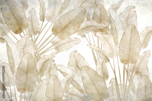 Beige banana leaf pattern background texture aesthetic botanical wallpaper