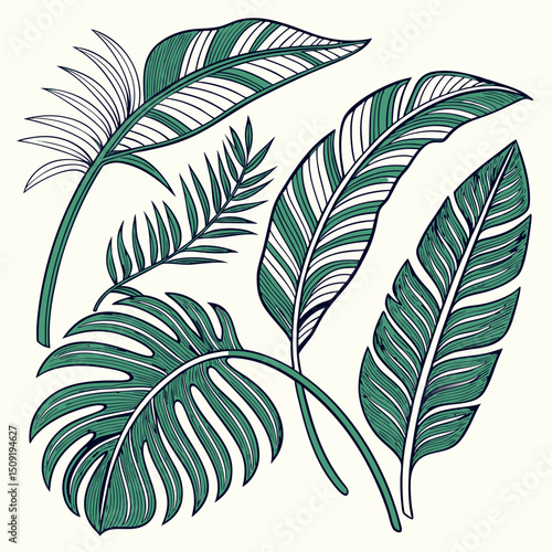 Set of tropical leaves and palm fronds vector illustration.