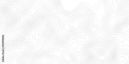 Abstract topography pattern seamless lines sea map modern design white background. Abstract digital topographic contour map concept space geometric strip grid line. Natural discovery of maps.	
