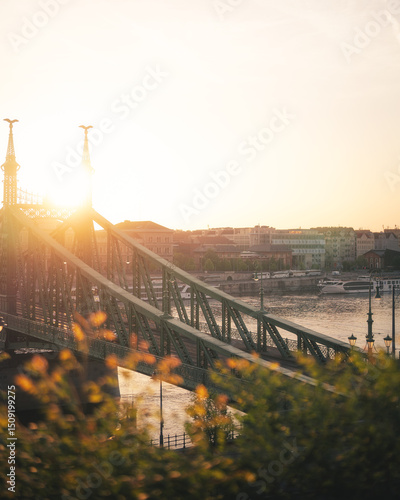 Famous Liberty Bridge in Bu...