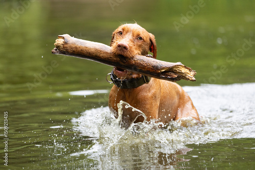 This Ribble CGR AL Blue XL is a fantastic choice for anyone looking for a high-quality gravel bike. With a 700C wheel size and a frame size of 58cm, it's perfect for those who want a comfortable ride 