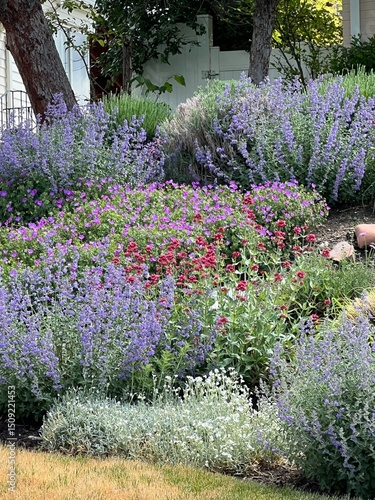 beautiful xeriscape garden with colorful flowering perennials, drought tolerant plants