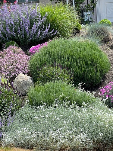xeriscape garden with colorful plants and flowers, Salt Lake City, Utah