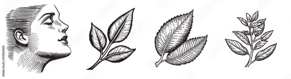 Fototapeta premium Vintage Illustration of Woman and Various Botanical Elements, set vector illustration