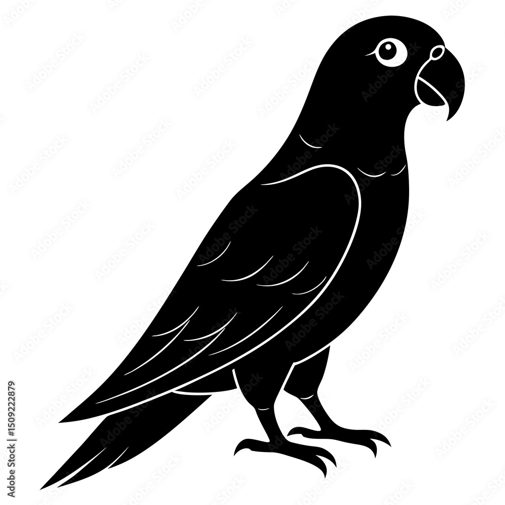 Obraz premium black and white bird