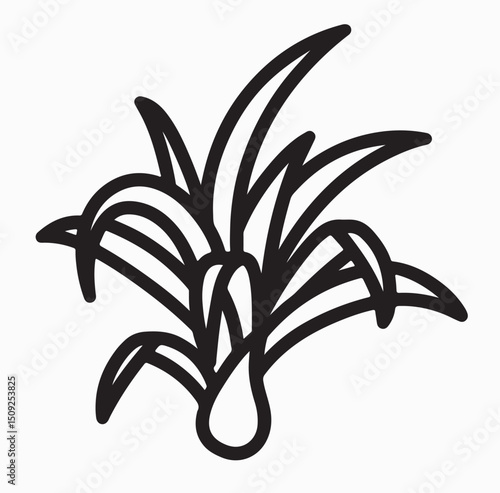 Ponytail Palm icon in vector. Logotype. Silhouette with white background