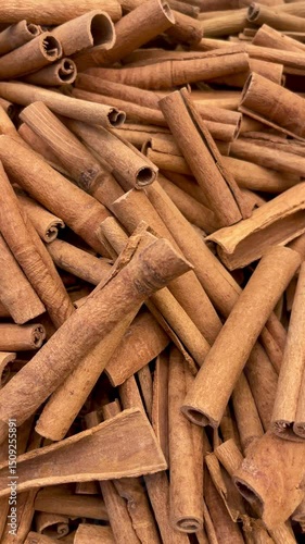 Brown Cinnamon Sticks Close-Up – Spice Texture Background Video