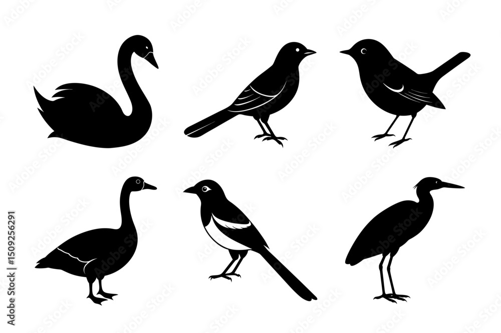 Fototapeta premium Black Bird Outline Silhouette Collection