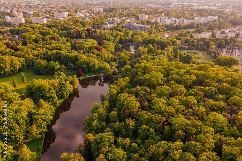 Naklejka premium Zielony Park