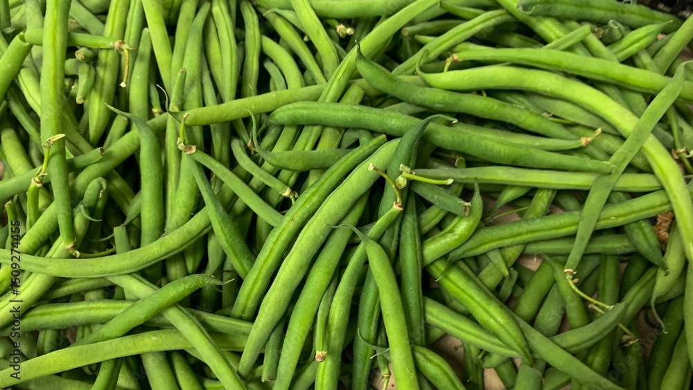 Verdant entwined green beans, echoing rustic harvest rituals, culinary delight for Lammas feasts and Eostre celebrations Verdant entwined green beans, echoing rustic harvest rituals, culinary delight for Lammas feasts and Eostre celebrations