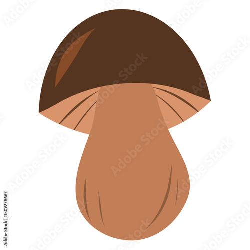 Hand drawn cartoon edible mushroom illustration. Boletus mushroom