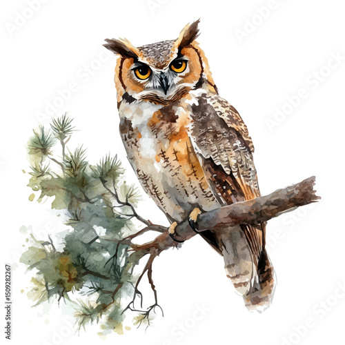 Owl Perched In A Tree, watercolor illustration vector, high quality, isolated on a white background.