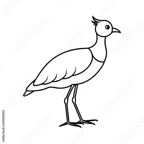 Southern Lapwing Bird Line Art Drawing