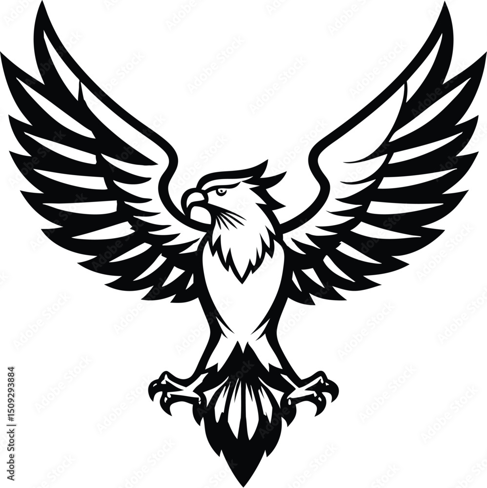 Fototapeta premium eagle silhouette, wings open, strong flight