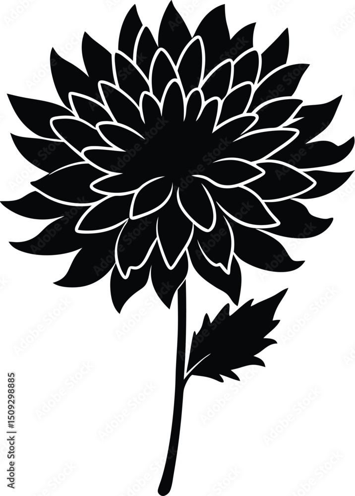 silhouette chrysanthemum on the white background silhouette chrysanthemum on the white background