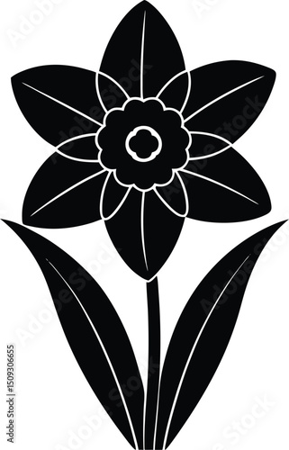 silhouette daffodil on the white background
