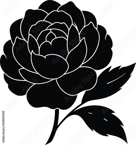 silhouette peony on the white background