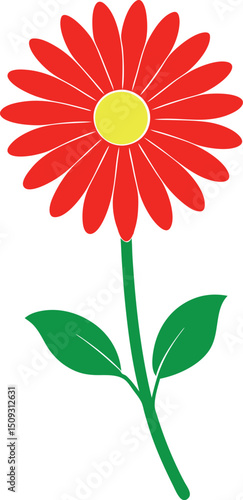 silhouette color  daisy on the white background 2