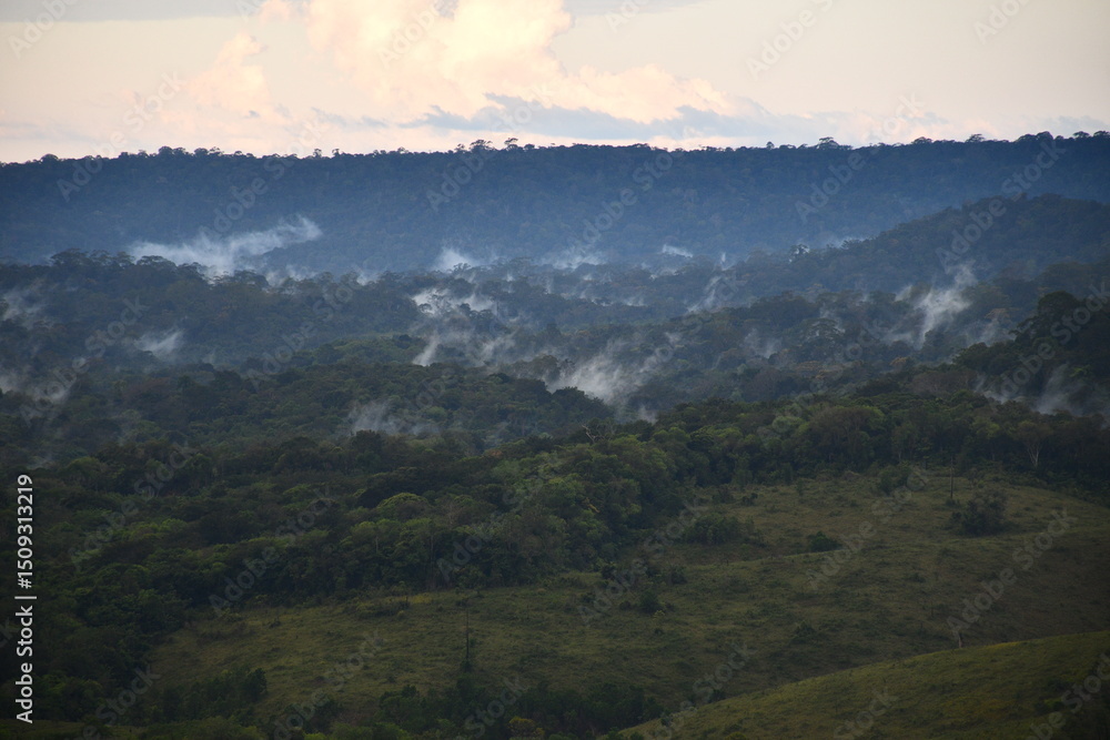 Floresta tropical (evaporação) Floresta tropical (evaporação)
